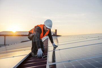 The Basics of Solar Panels and Inverters